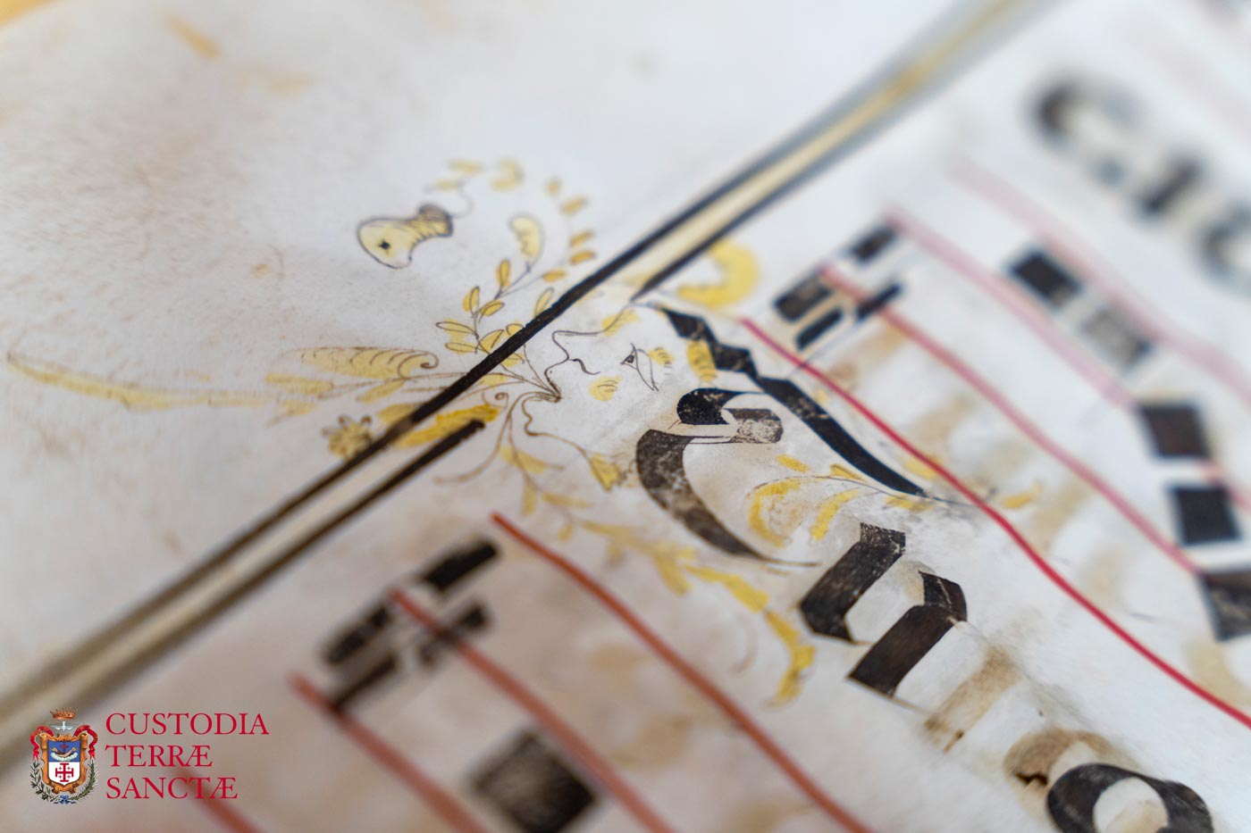 dettaglio libro antico